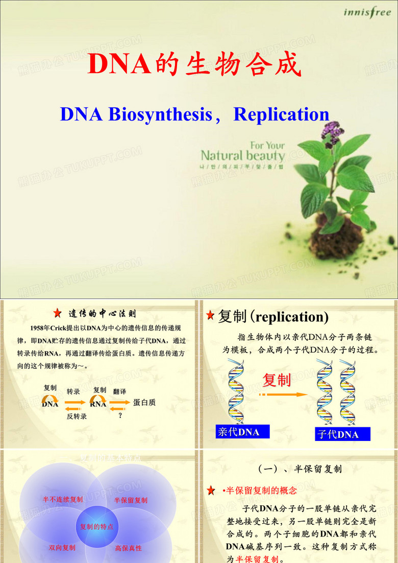 《生物化学：DNA的生物合成》