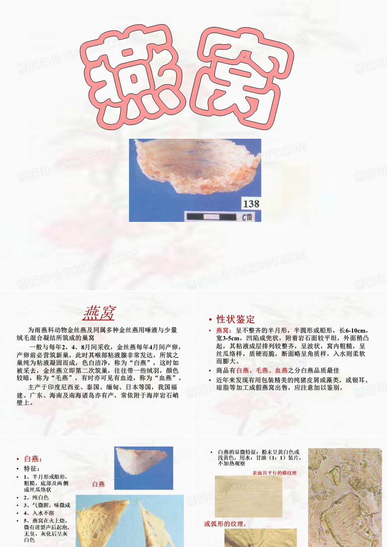 燕窝教学课件