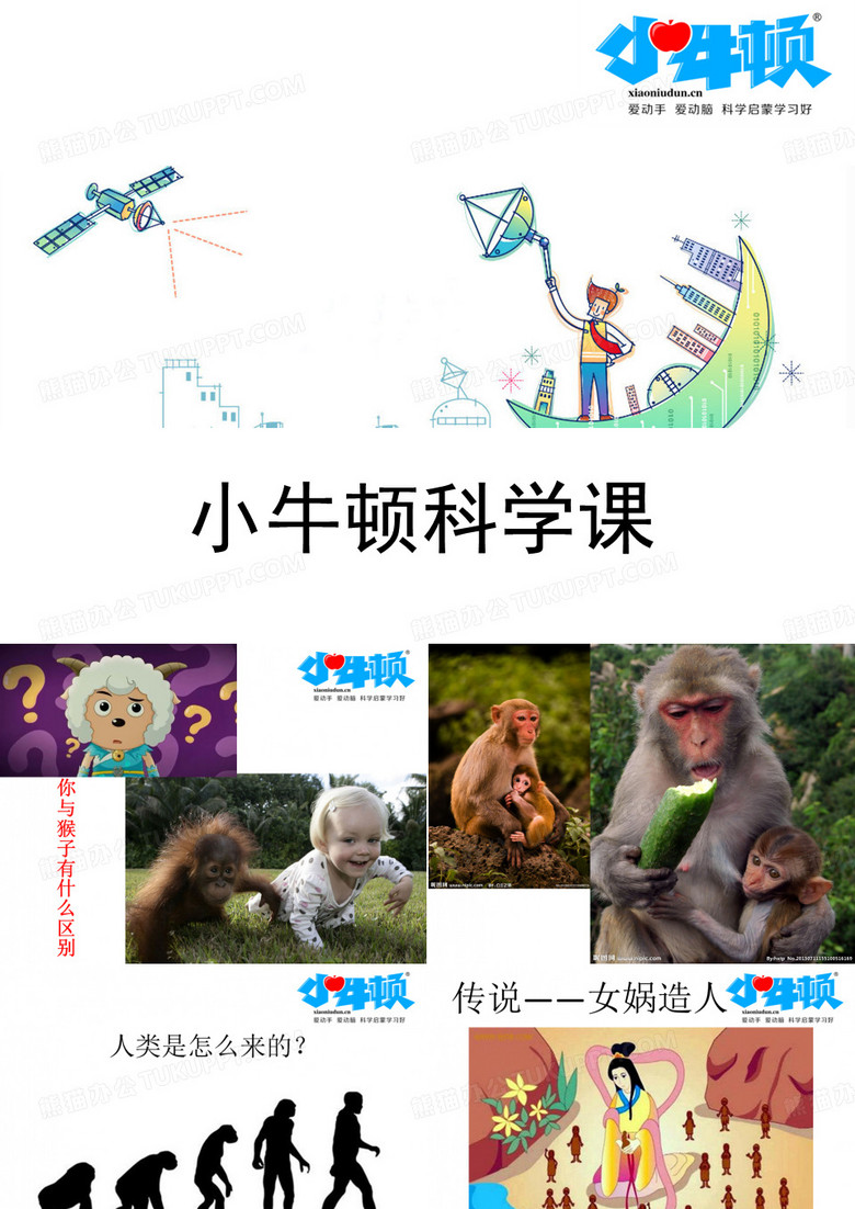 人类进化史