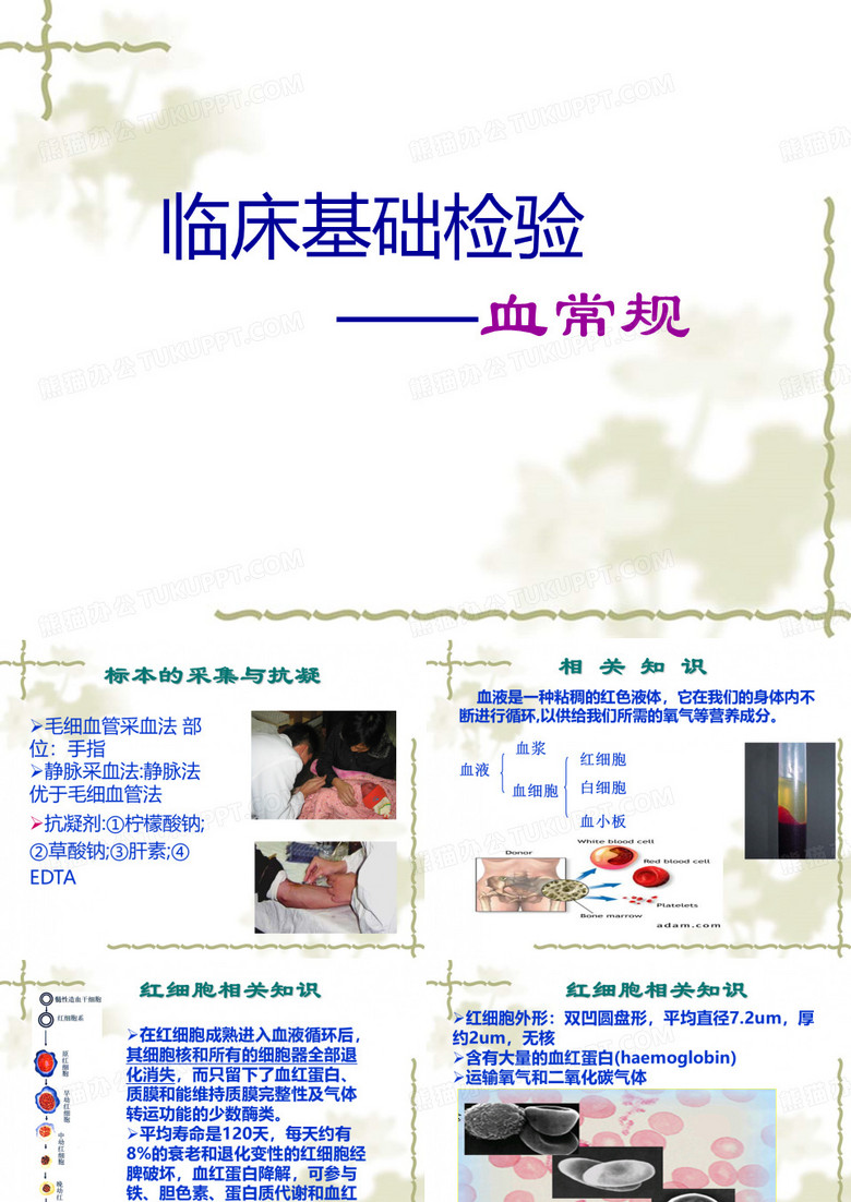 临床化验