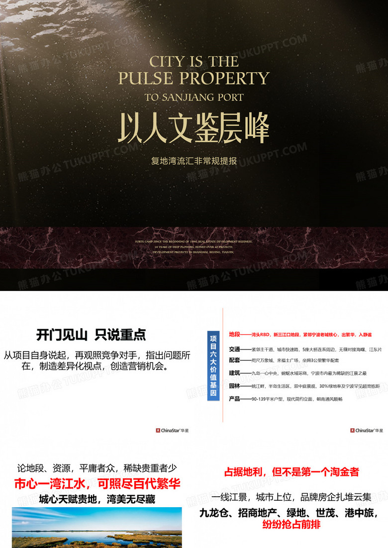 复地项目提案