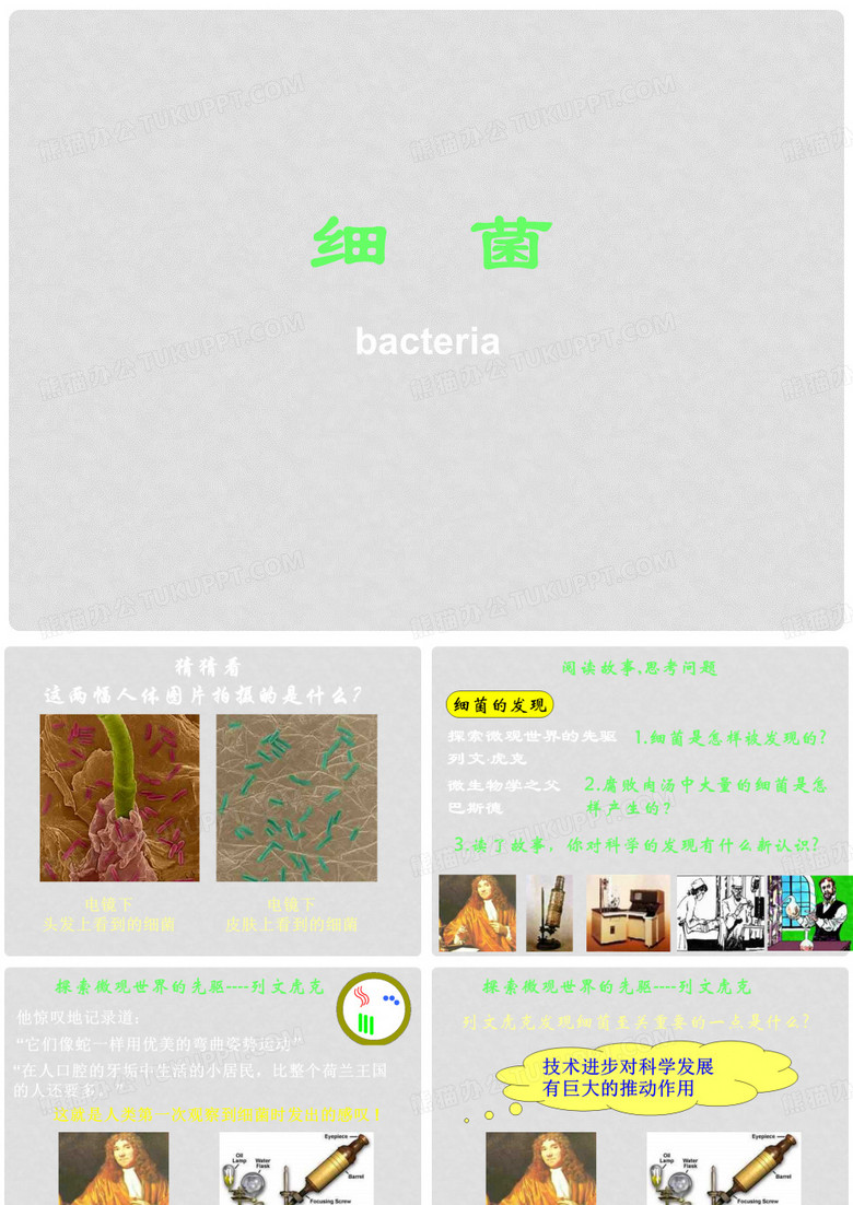 八年级生物上册 第四章 第二节 细菌课件 新人教版