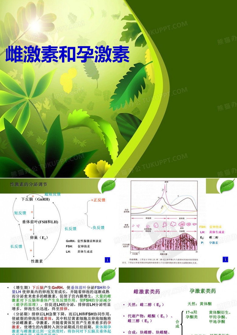 雌孕激素