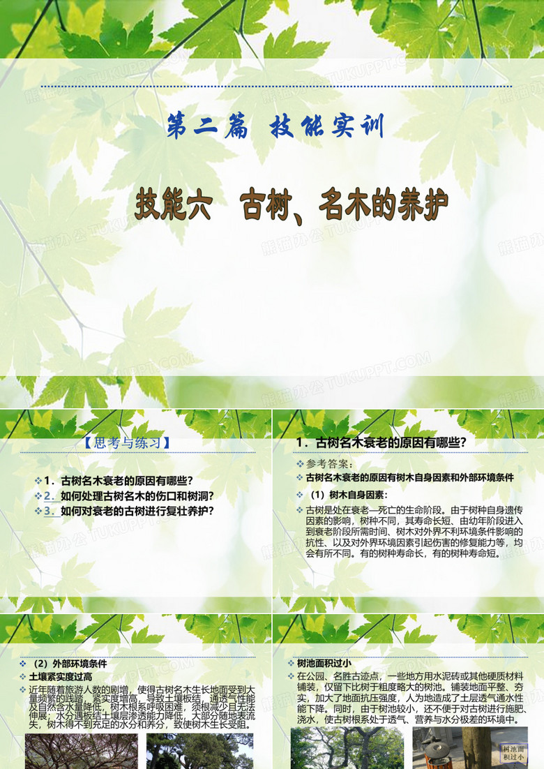 古树、名木的养护