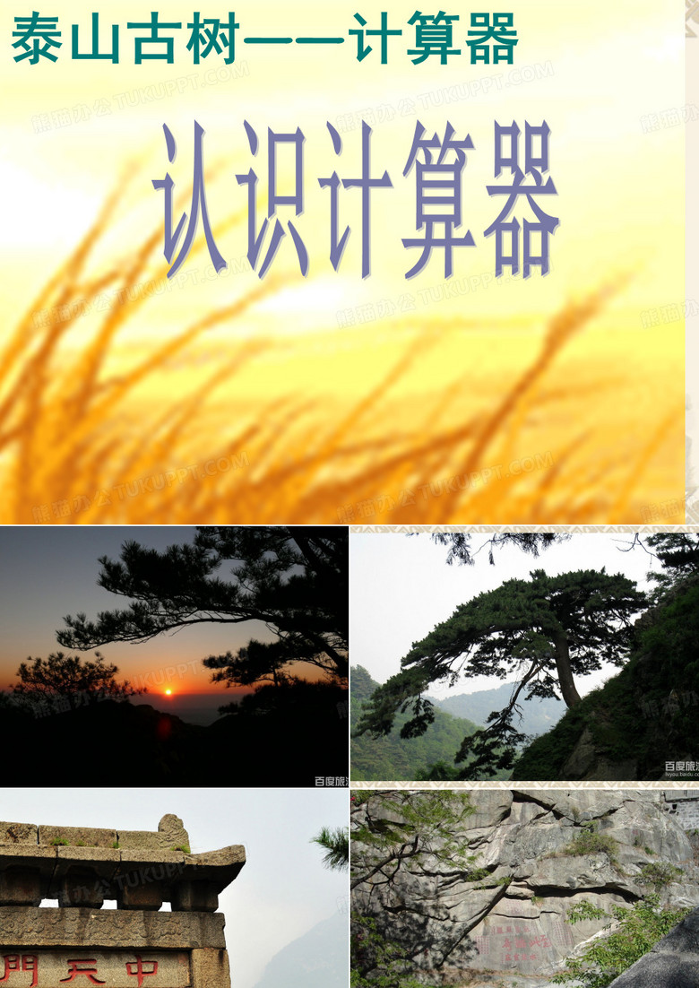 泰山古树——计算器