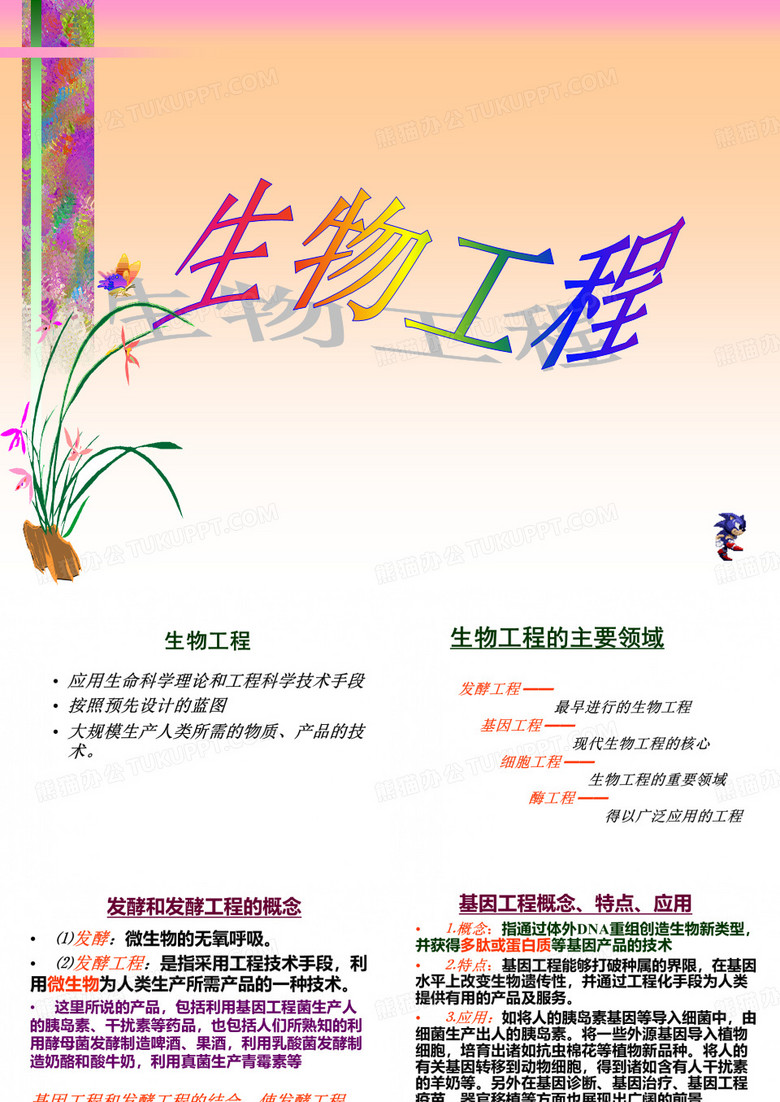 生物工程-酶工程
