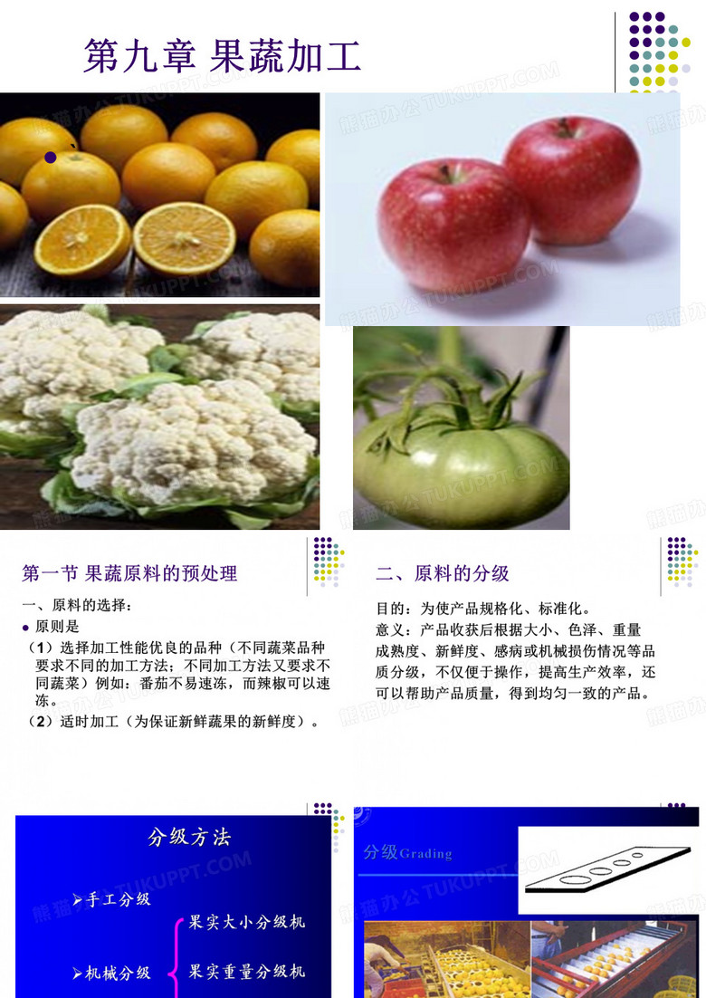 果蔬加工