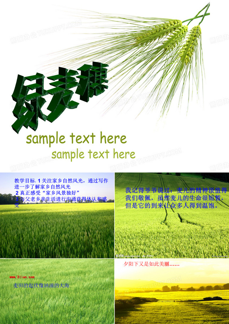 绿麦穗