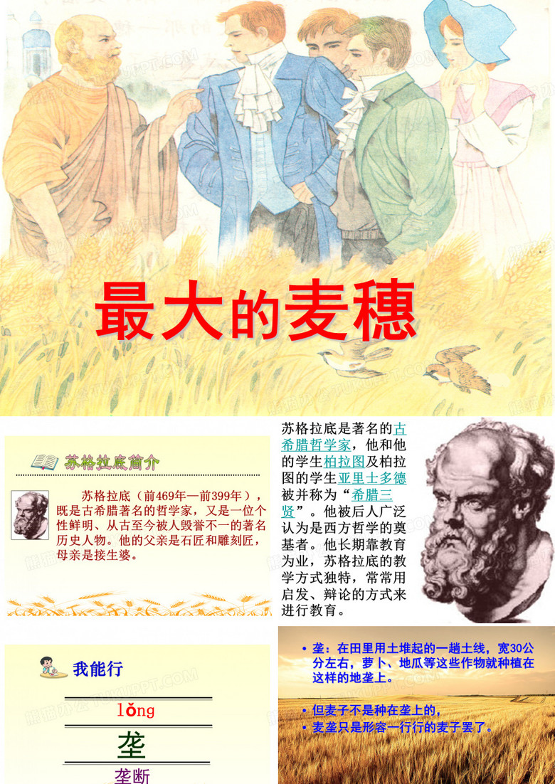 最大的麦穗