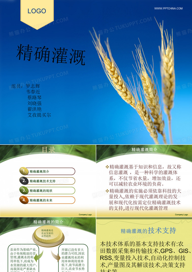 蓝色麦穗