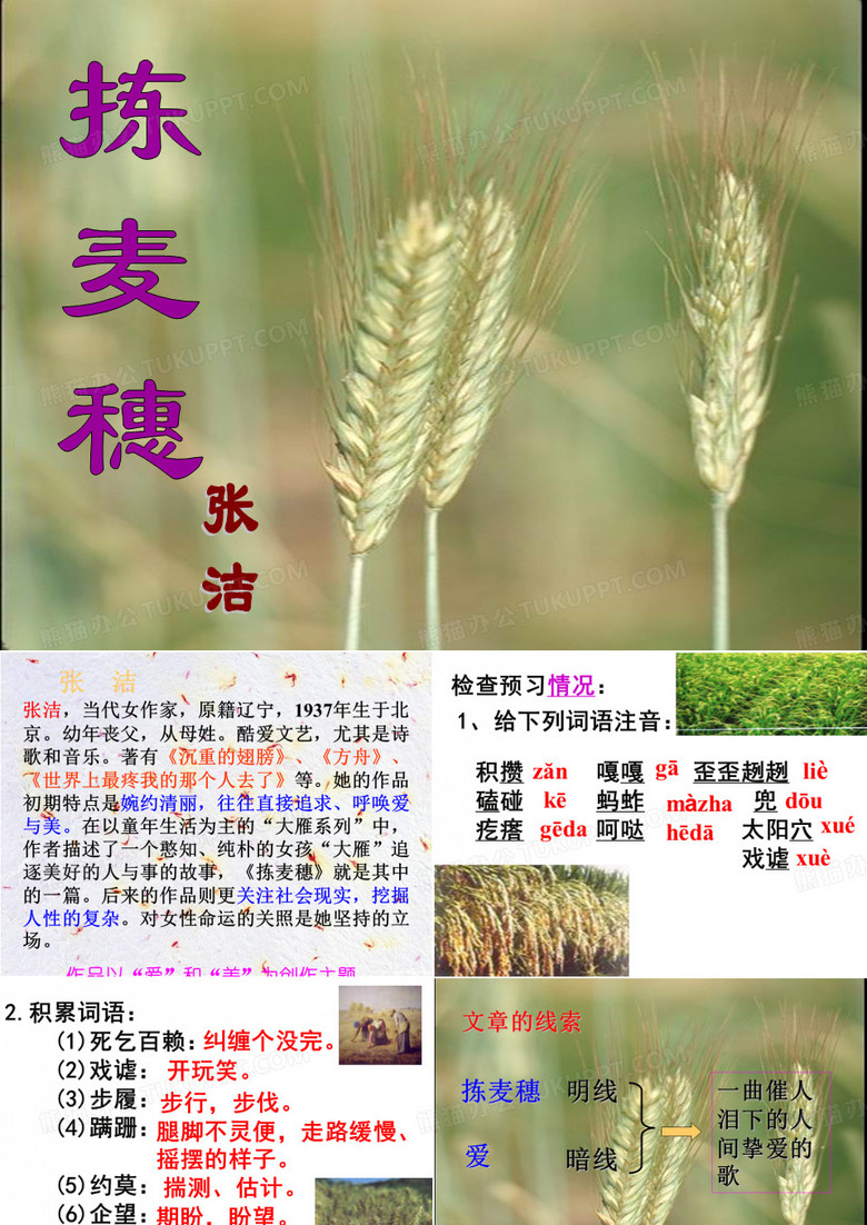 《拣麦穗》课件