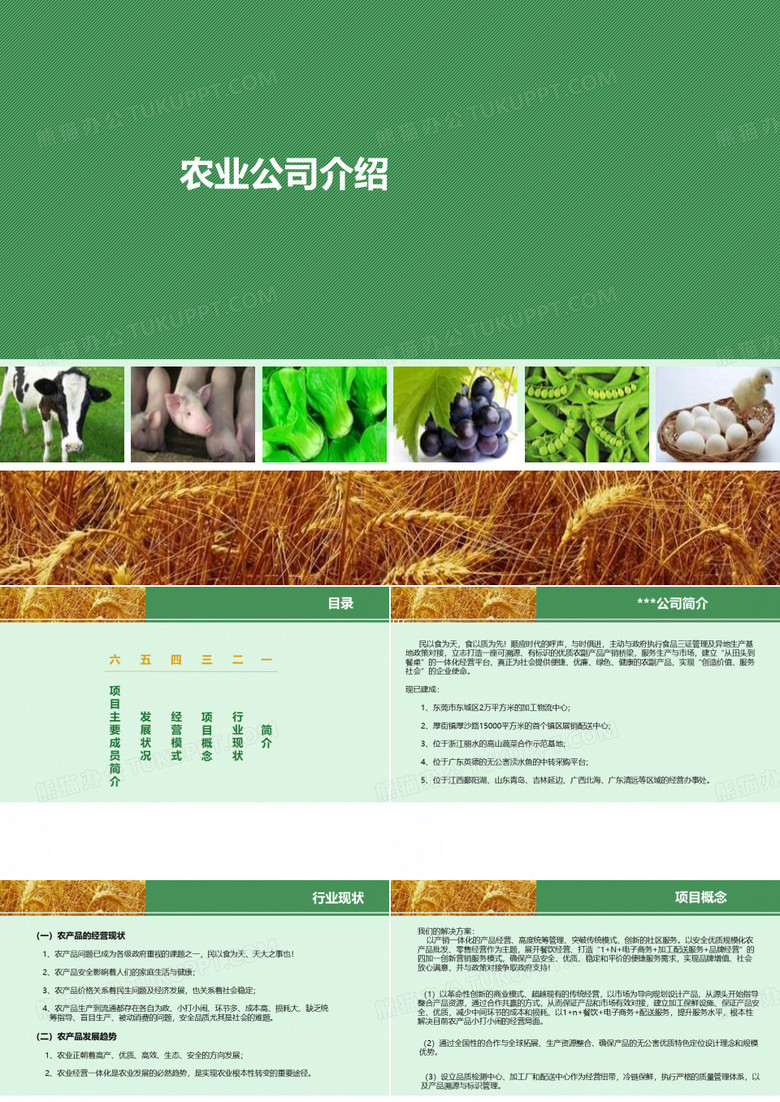 农业公司介绍