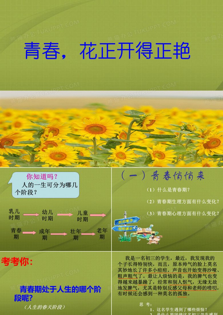 主题班会-青春期主题班会