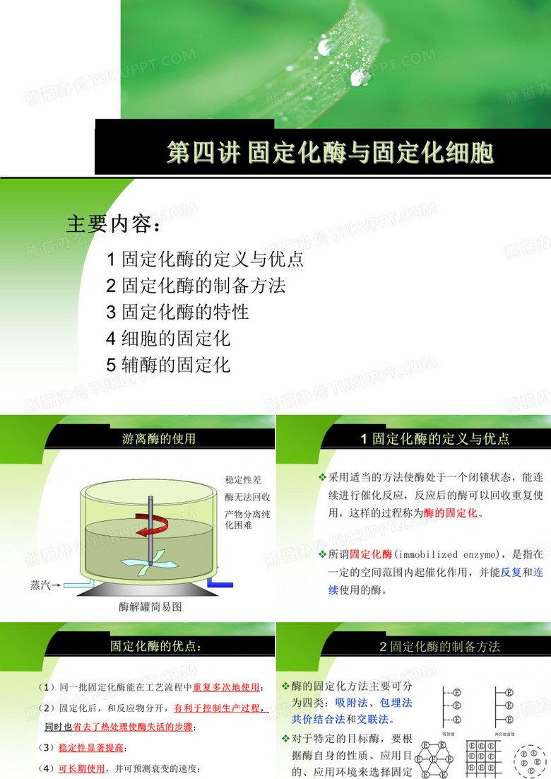 酶工程-酶的固定化