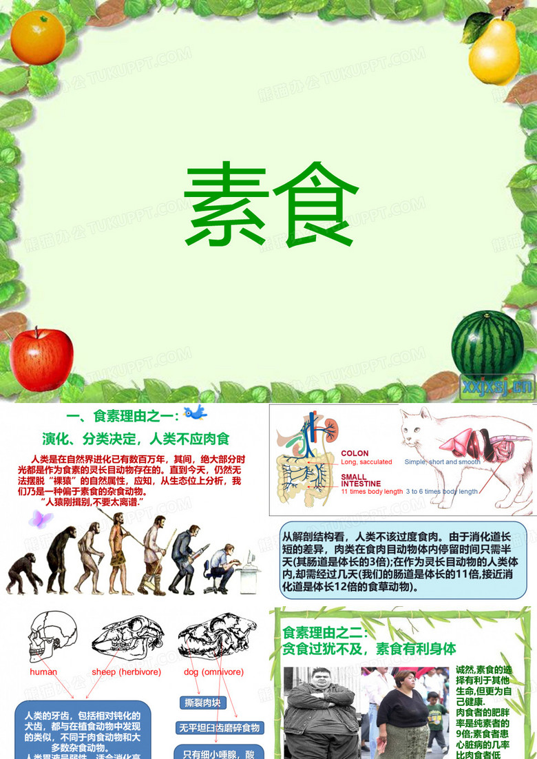 素食