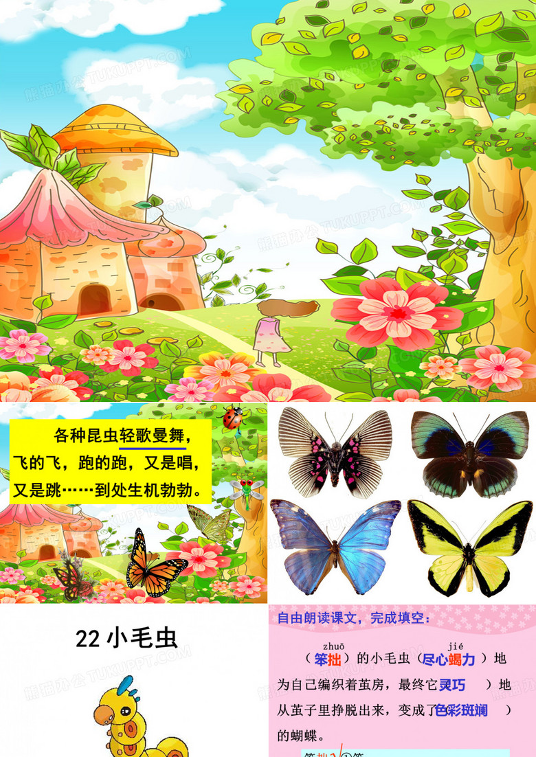 22小毛虫