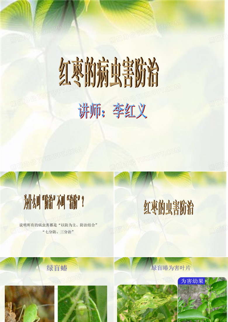 红枣病虫害防治