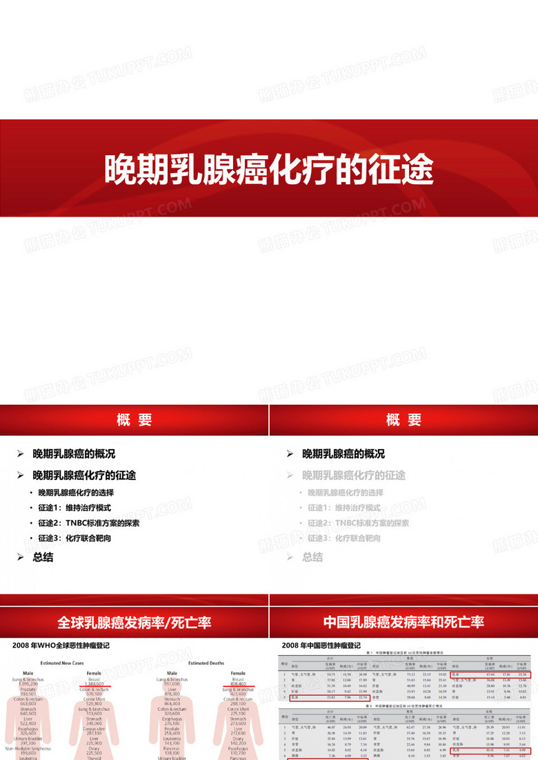 晚期乳腺癌化疗的征途