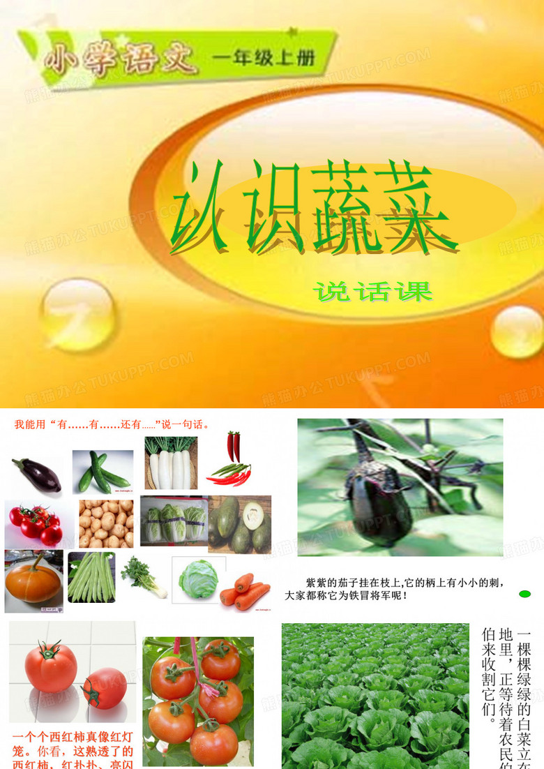 认识各种蔬菜
