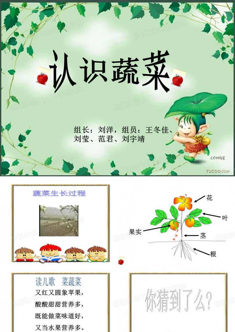 认识蔬菜ppt