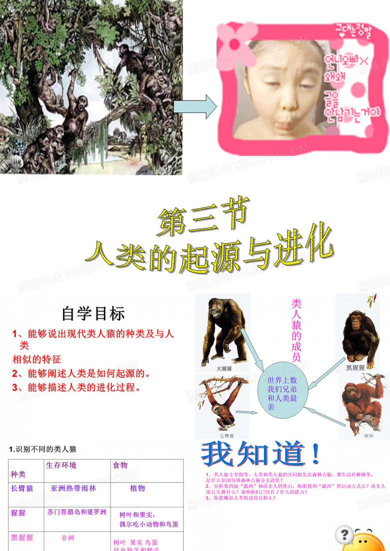 人类的起源与进化