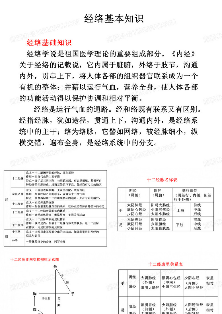 刮痧经络