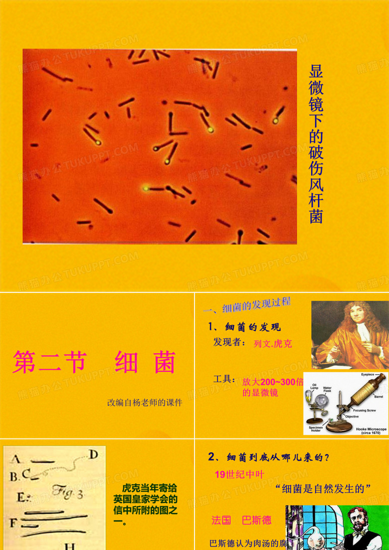 八上生物第二节细菌(共37张PPT)