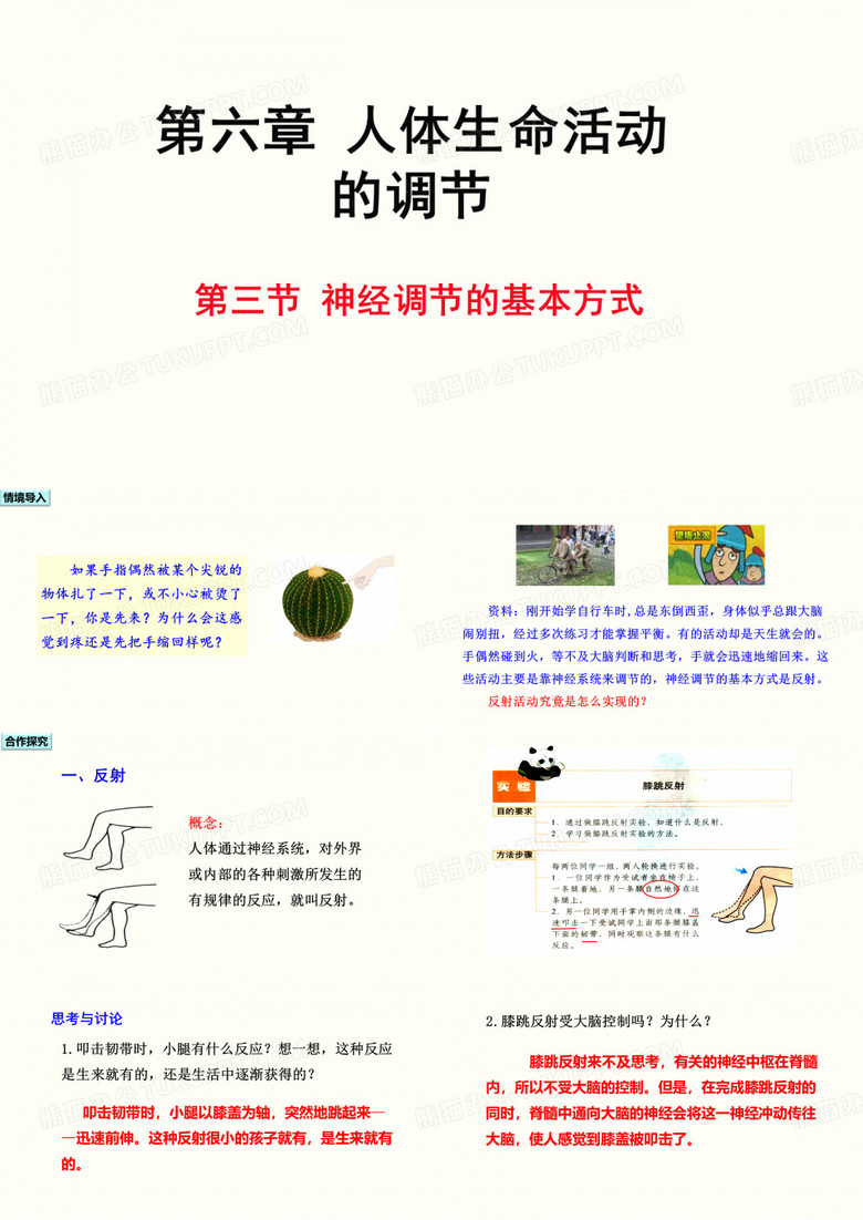 人教版生物七年级下册第六章  人体生命活动的调节第三节  神经调节的基本方式