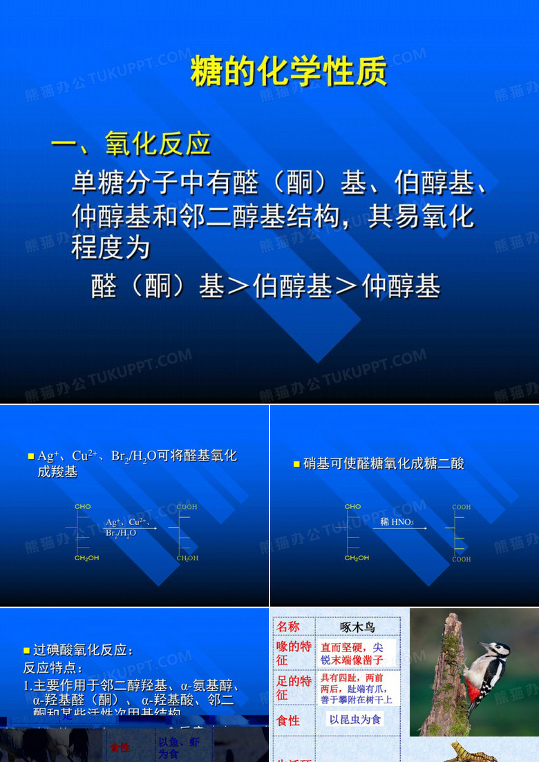 新人教版八年级生物第六节鸟[精选]