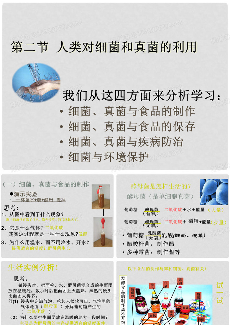 八年级生物上册 第二节《 人类对细菌和真菌的利用》课件1 人教新课标版