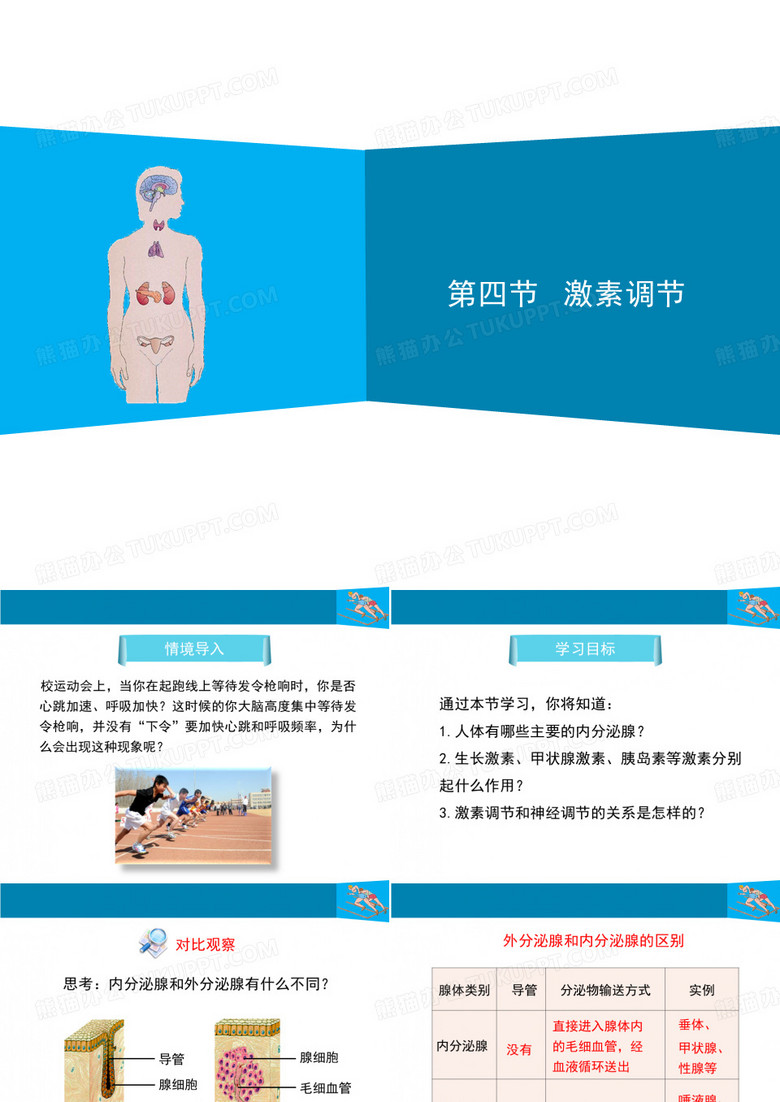 人教版七下生物第六章 人体生命活动的调节第4节《激素调节》讲授课件