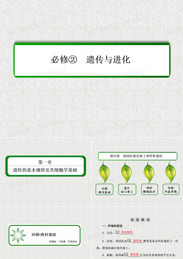 2015届高考生物(人教版通用)总复习教学课件：第17讲 基因在染色体上和伴性遗传