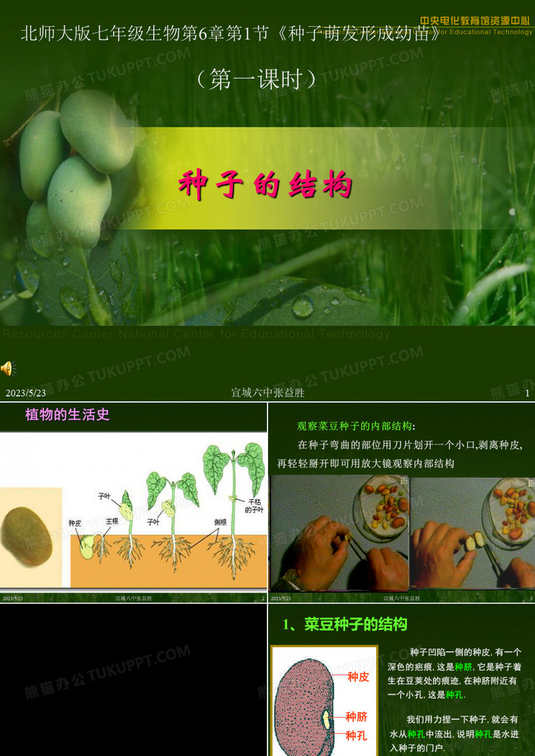 初一生物种子的结构