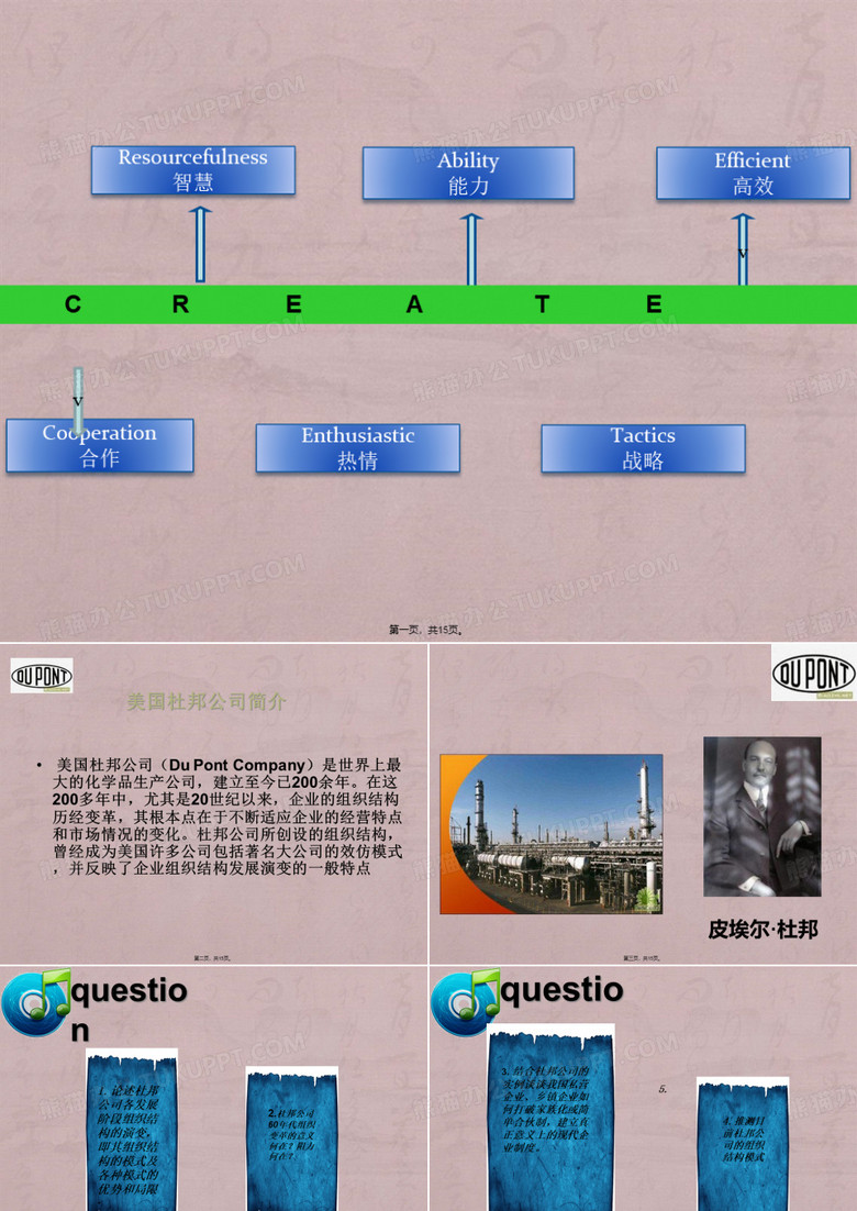 杜邦案例分析