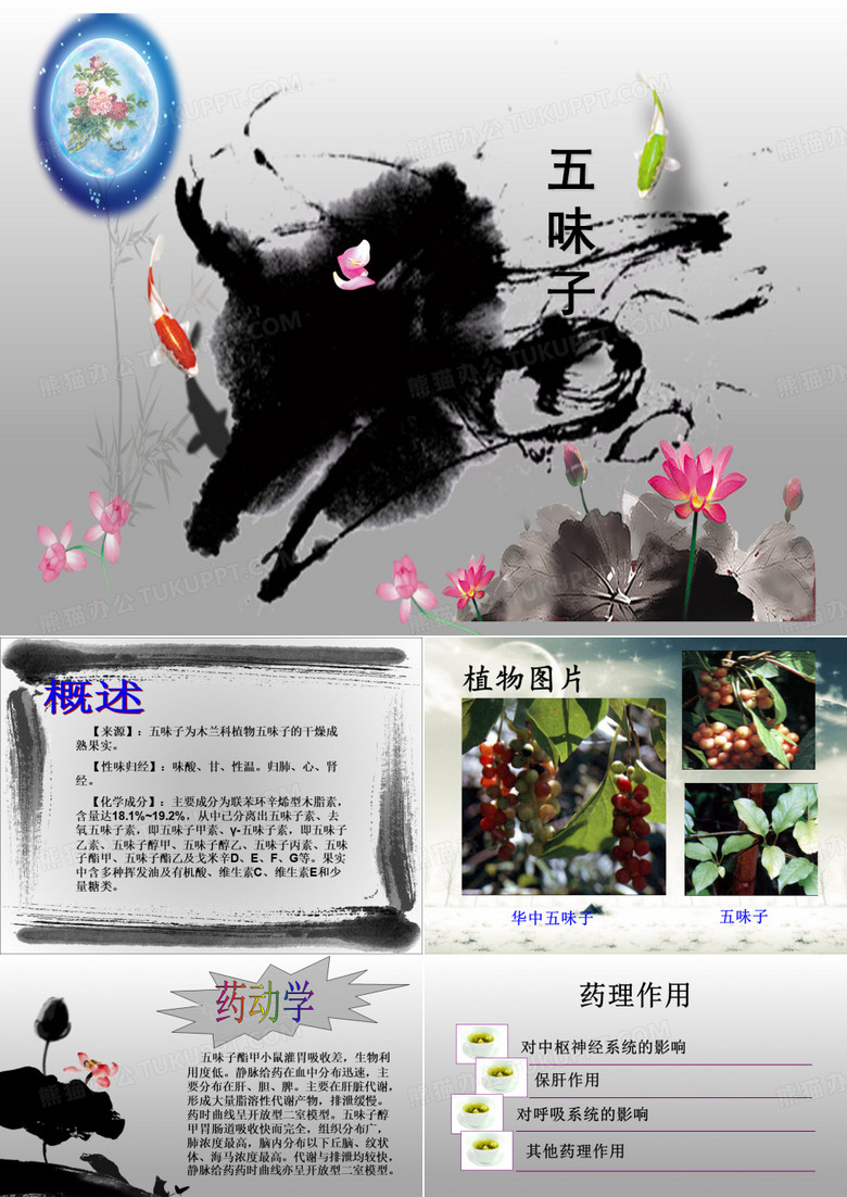 五味子—药理