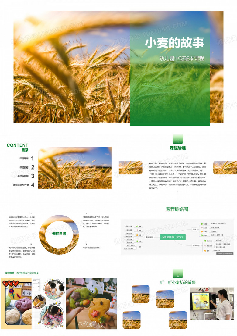 幼儿园中班班本课程《小麦的故事》