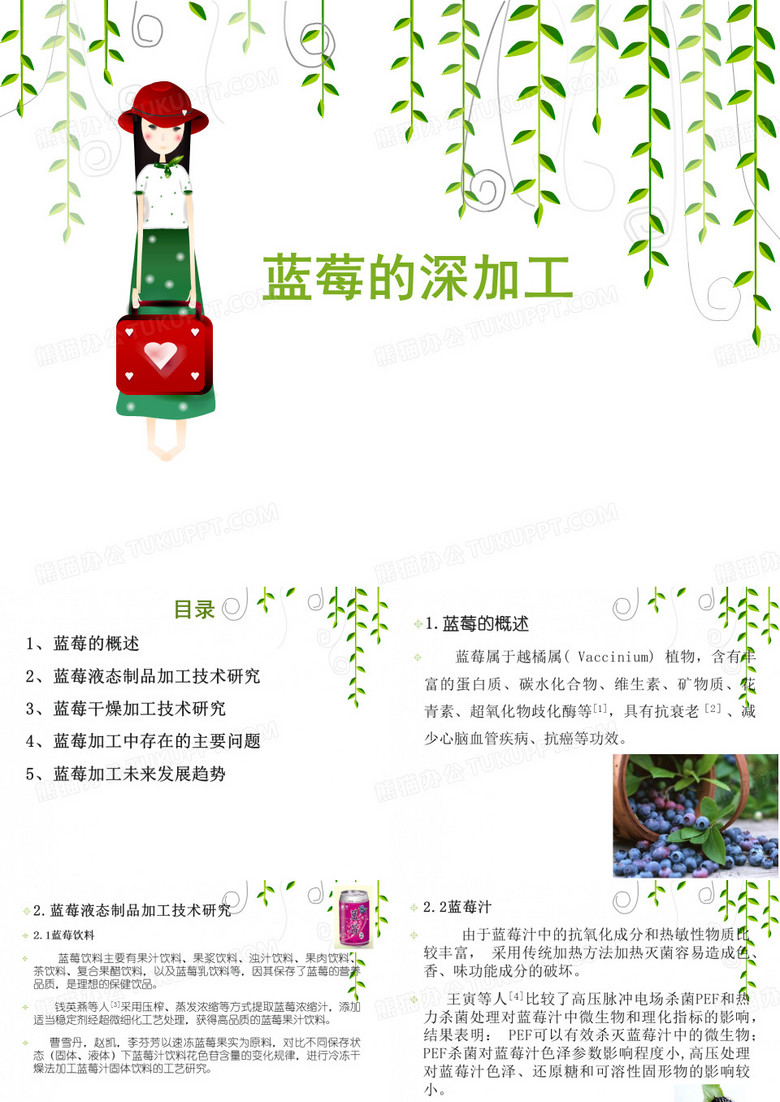 蓝莓深加工