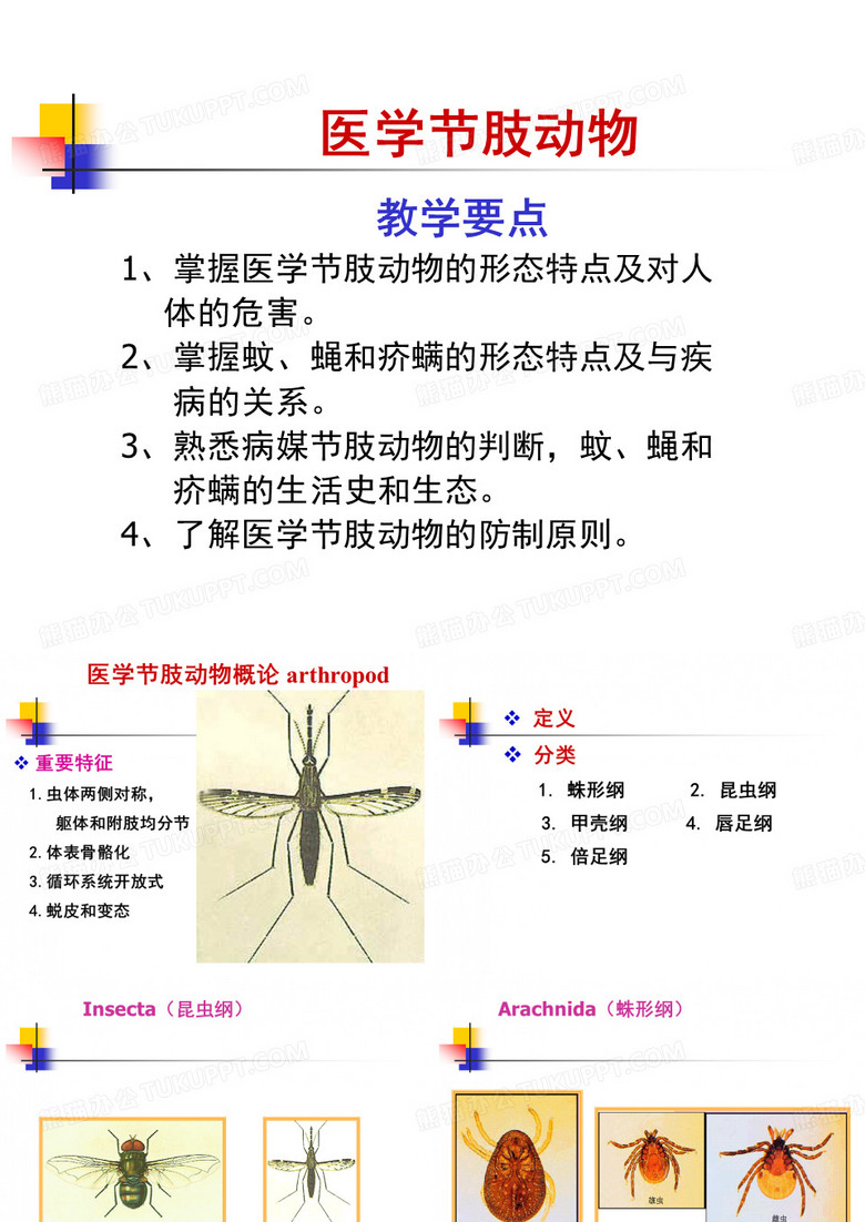 医学节肢动物