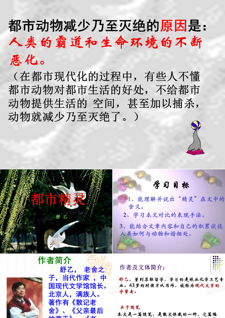 都市精灵