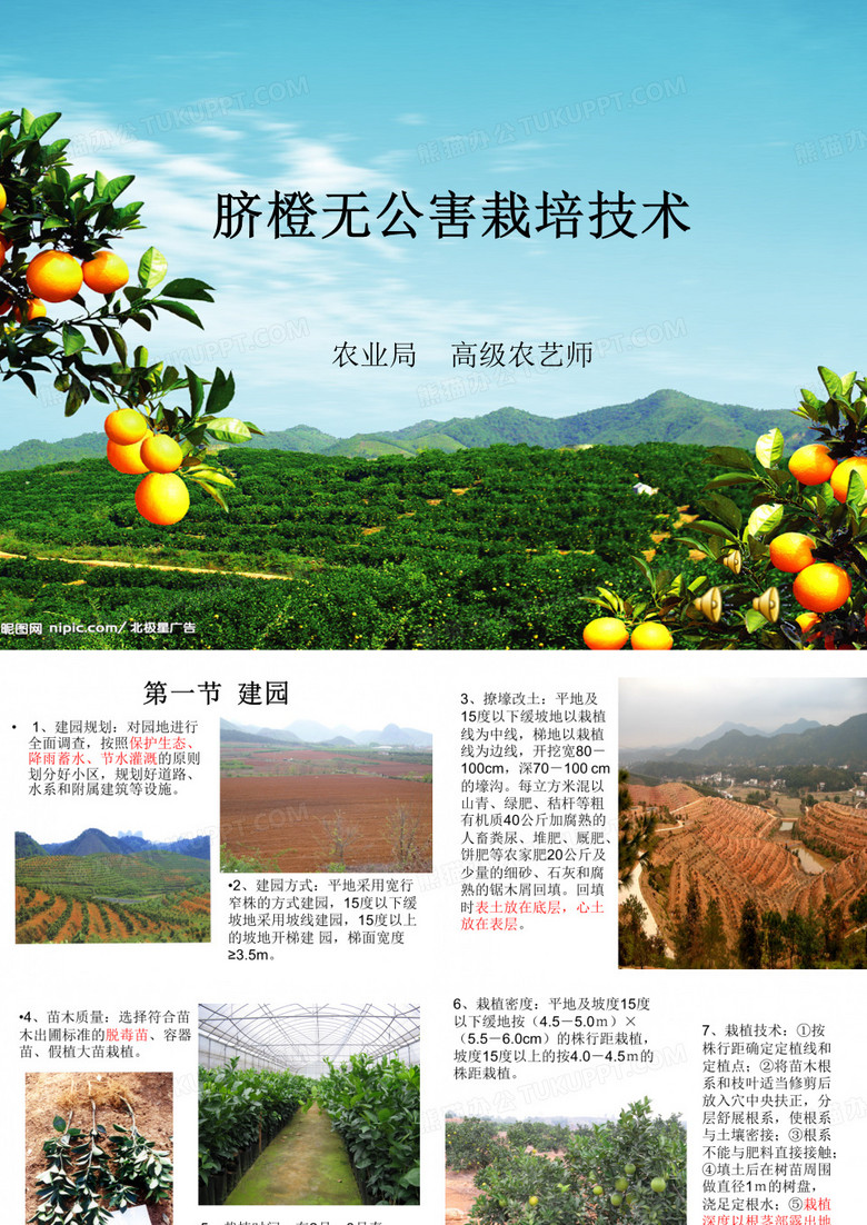 脐橙无公害培技术