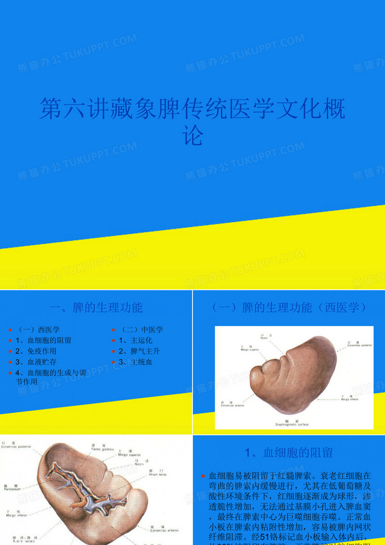 第六讲藏象脾传统医学文化概论【实用资料】