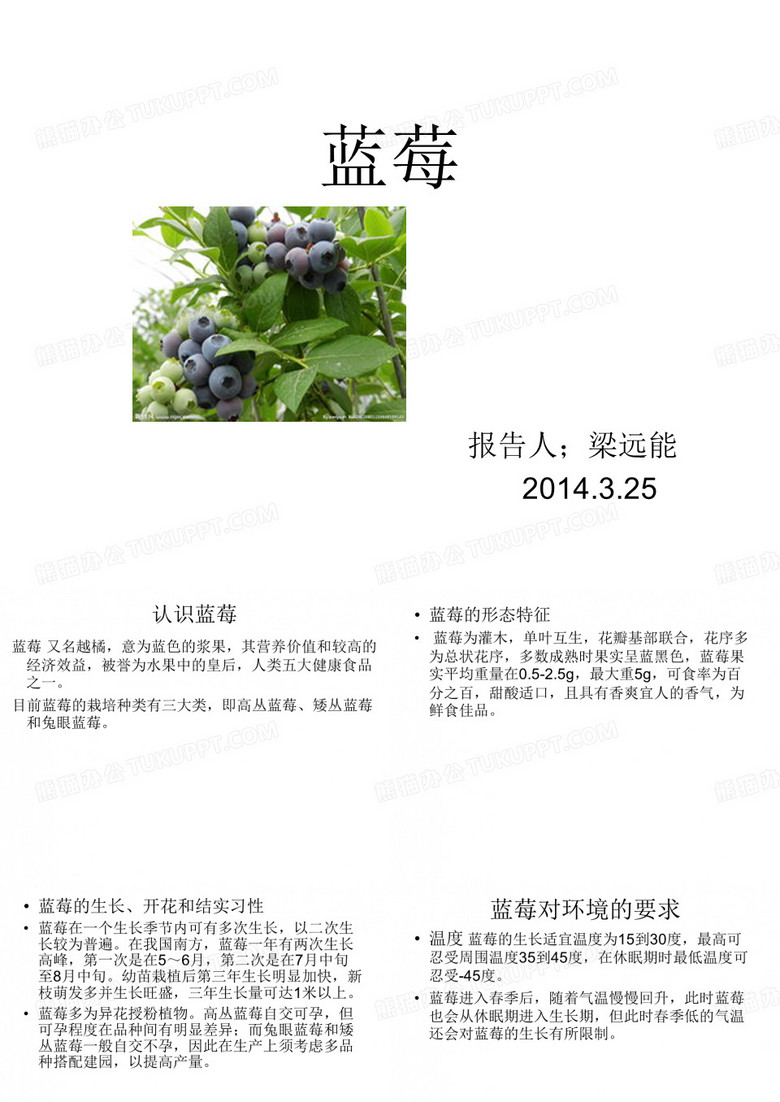 蓝莓栽培技术