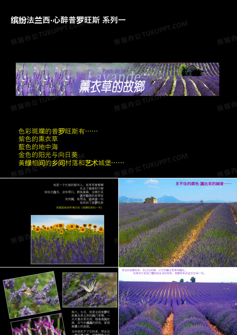 薰衣草的故乡