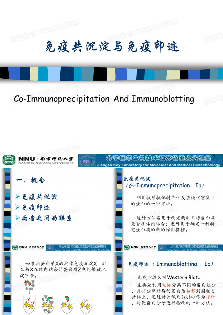 IP与IB