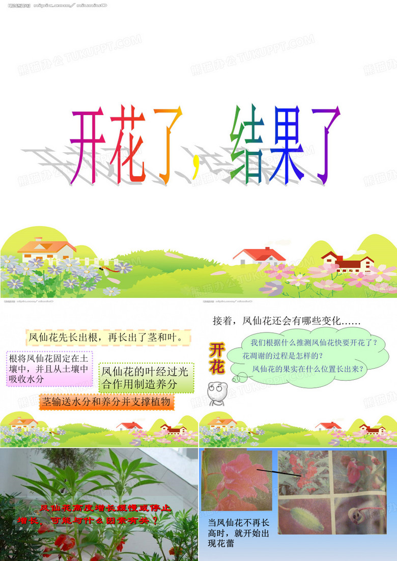 开花了,结果了