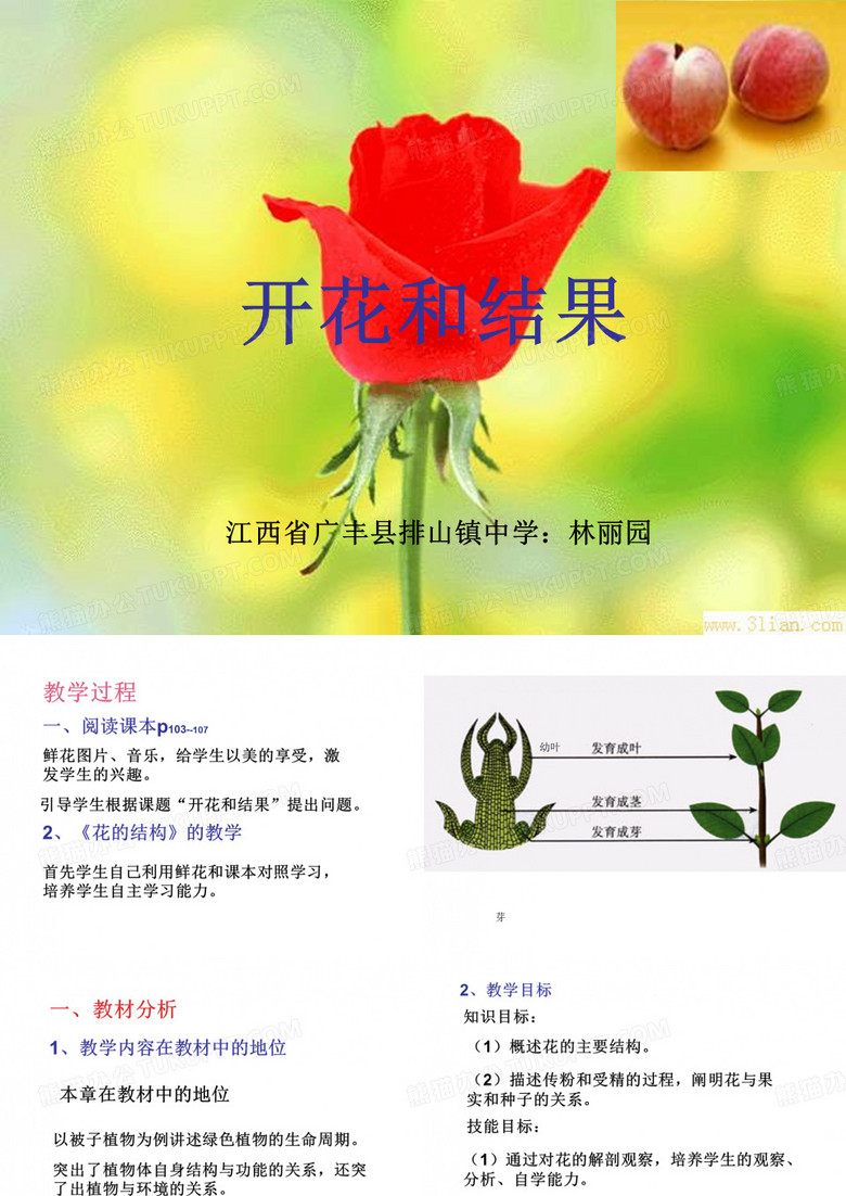 开花与结果