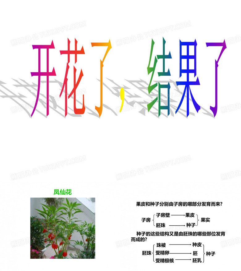 开花了,结果了