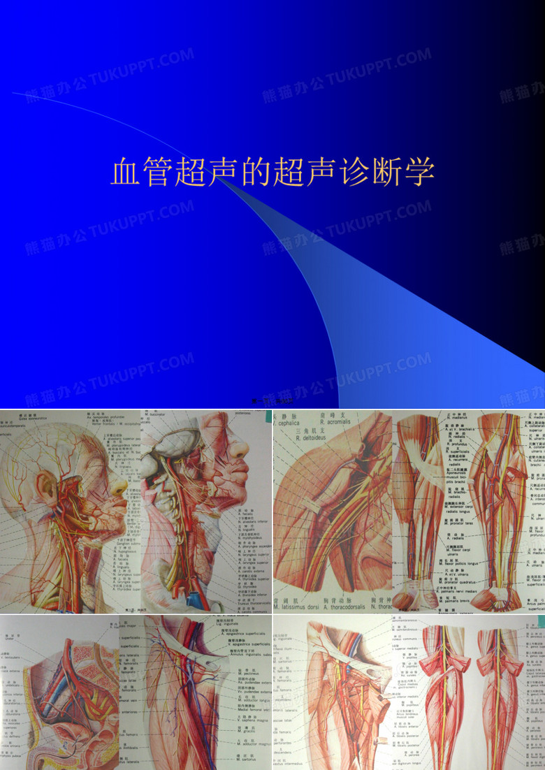 血管超声的超声诊断学