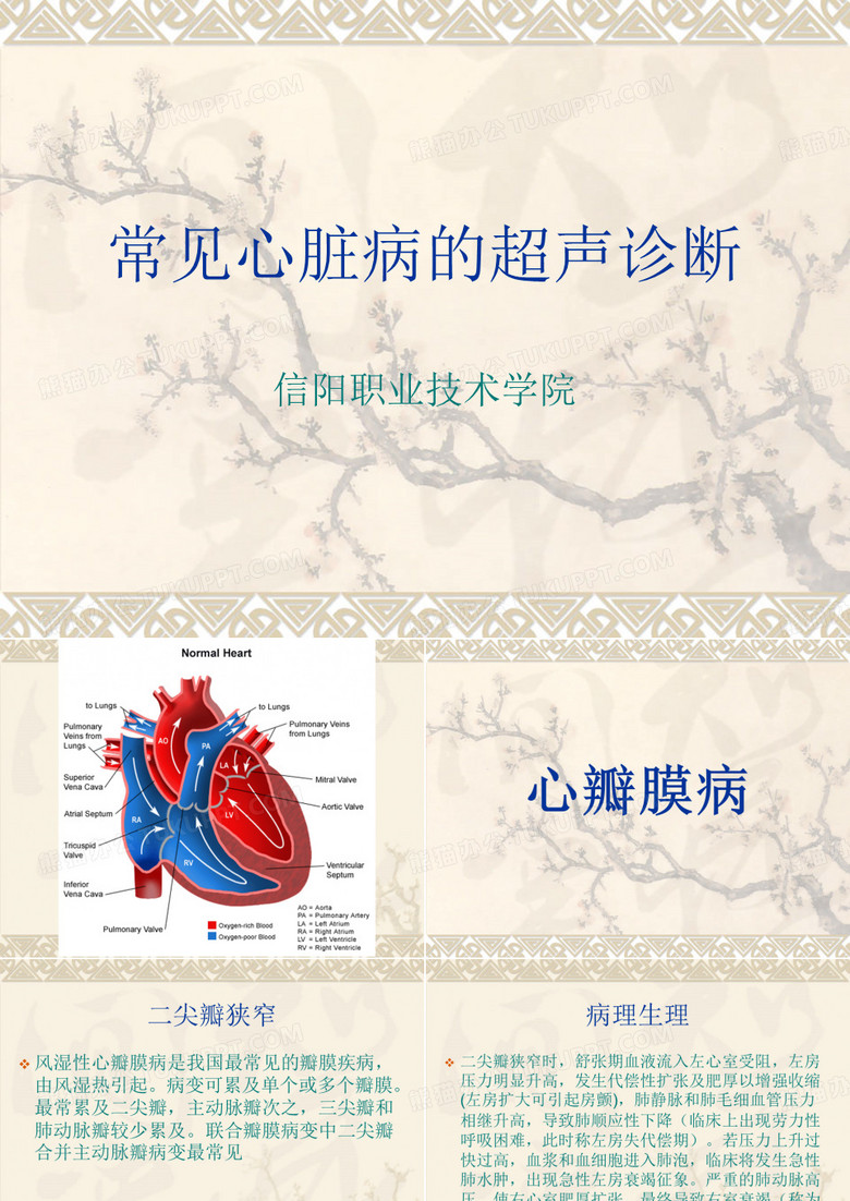 超声诊断学-常见心脏病的超声