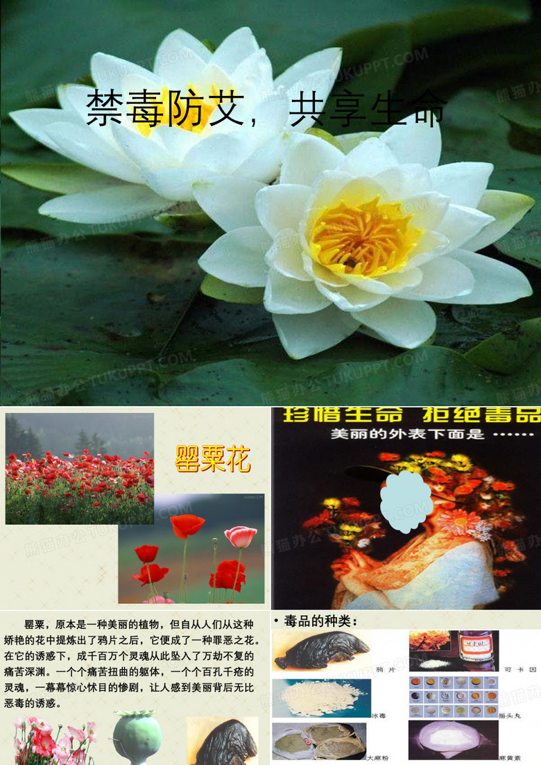 《禁毒防艾》